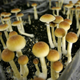 Image for article titled It's a Good Week for Drugs